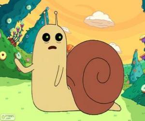 yapboz Snail, Macera Zamanı dan küçük salyangoz